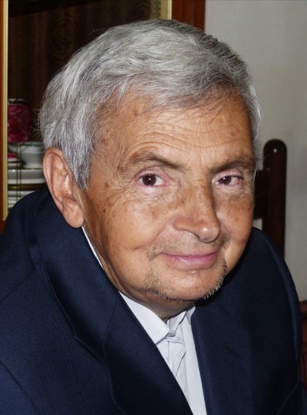 Rocco Luigi Direnzo