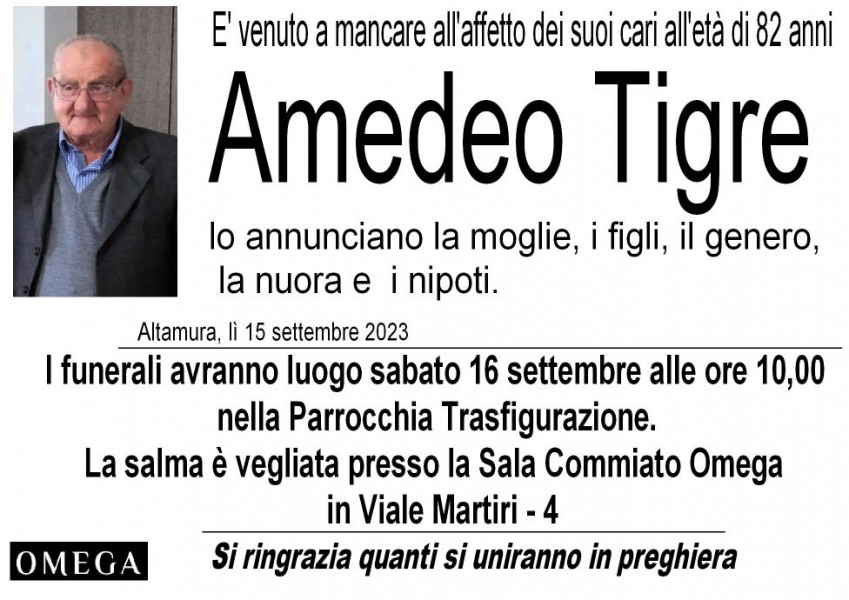 Amedeo Tigre