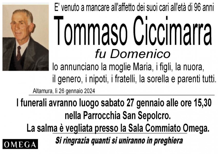Tommaso Ciccimarra
