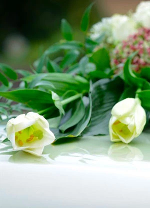 Salvatore Artedino