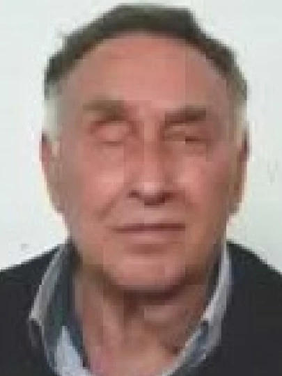 Leonardo  Berlingeri 