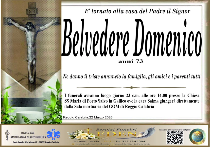 Domenico  Belvedere