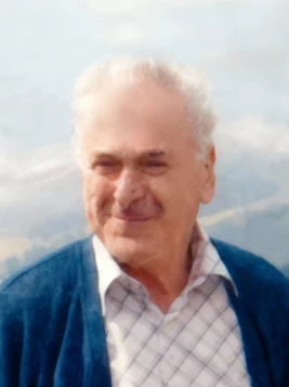 Lino Giovanni Rech