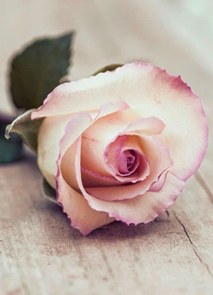 Giovanni Sanna