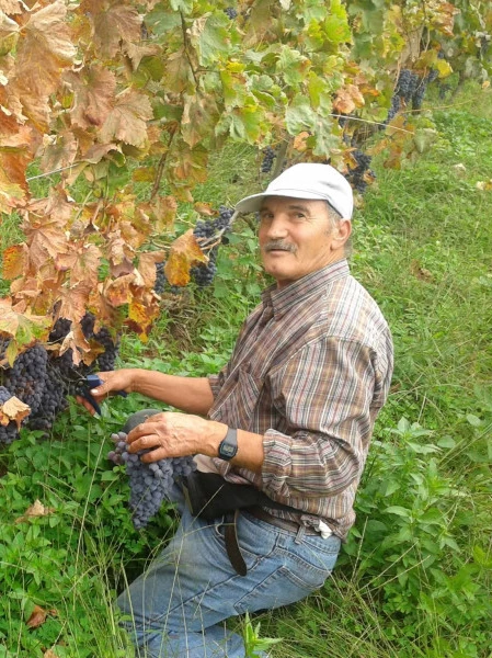 Salvatore  Geracitano
