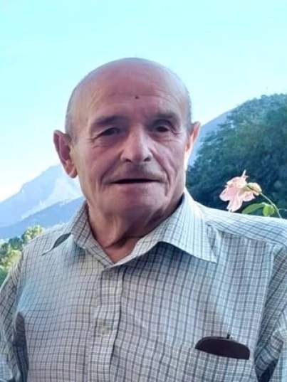 Domenico  Pesenti