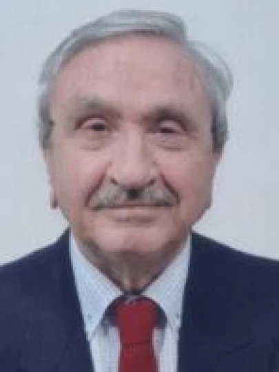 Domenico  Provini