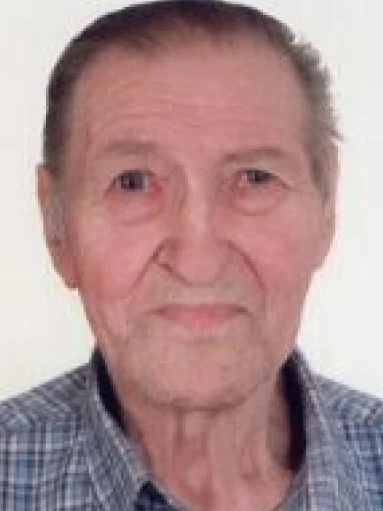 Giuseppe Guizzo (bepino)