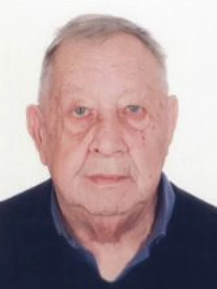 Giancarlo  Gavagnin