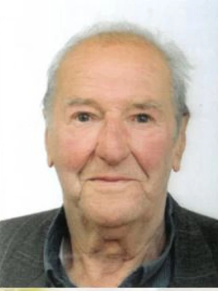Roberto  Tavosanis