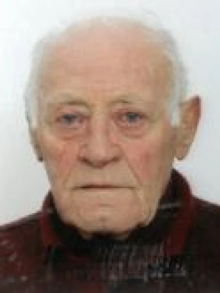 Pietro  Petris