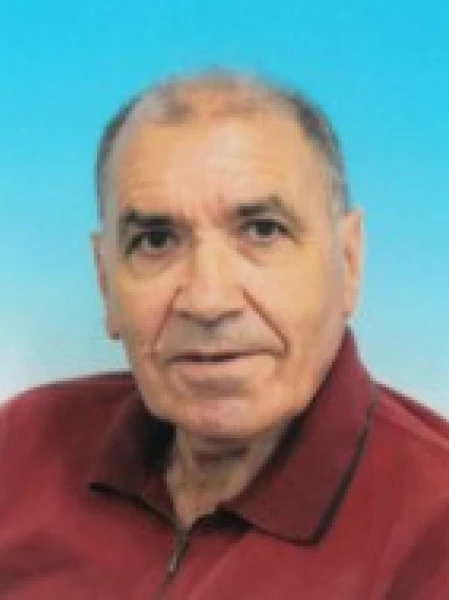 Gino  Bertoldi