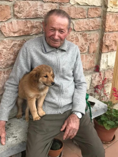 Mario Capitini