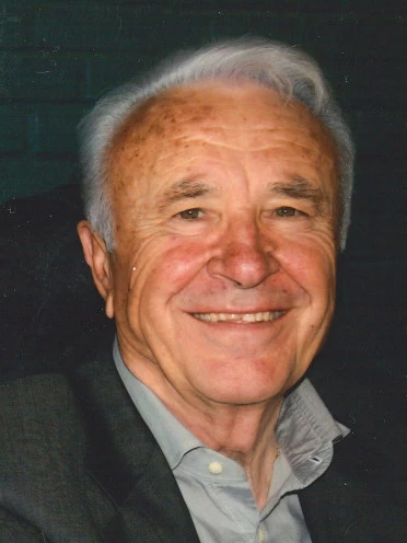 Domenico Vetturini