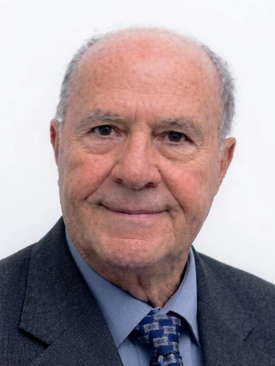 Domenico Morgese