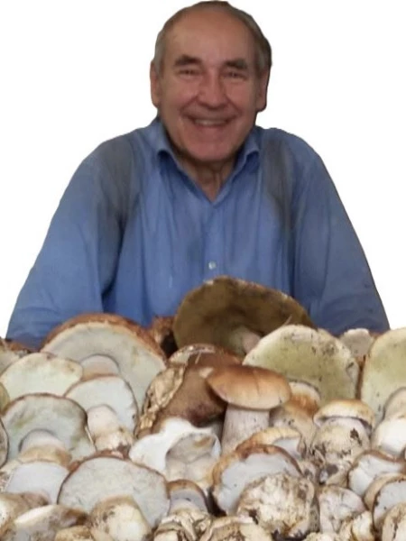 Antonio  Cugini