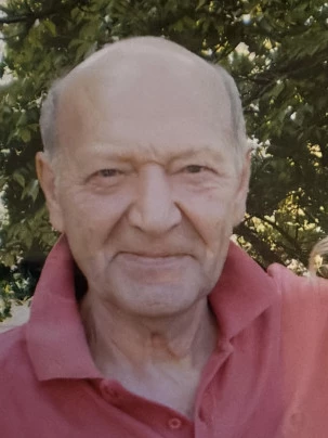 Pierluigi  Manini 
