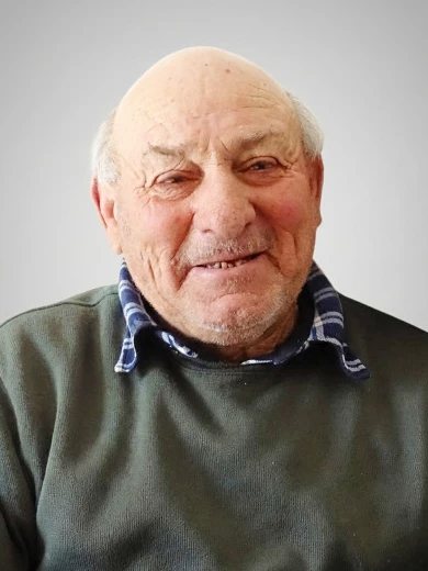 Quinto Ansuini