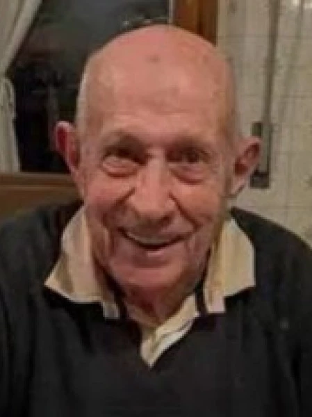 Domenico Onida