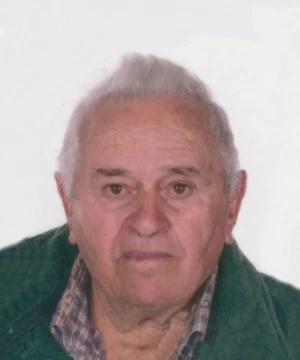 Luigi Casadei