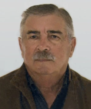 Vincenzo Zerbini