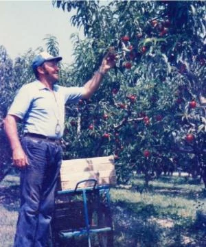 Clemente Cappelletti