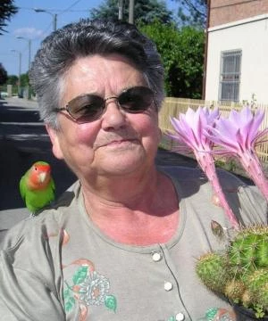 Edera Ventura