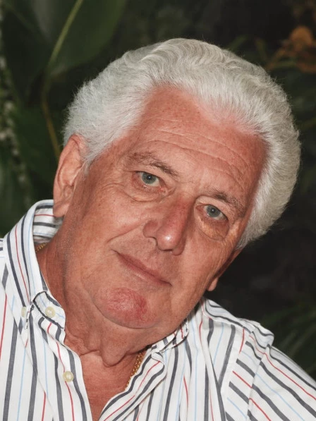 Luigi  Mistroni