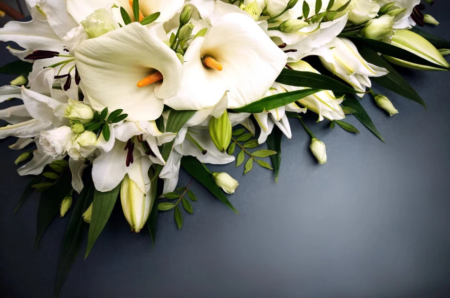 IMPRESA FUNEBRE AL PICCOLO GIARDINO