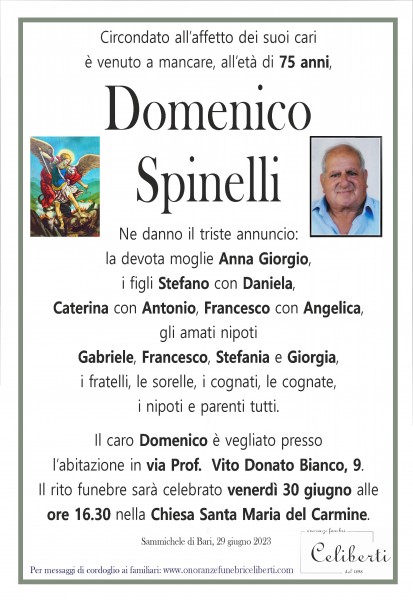 Domenico Spinelli