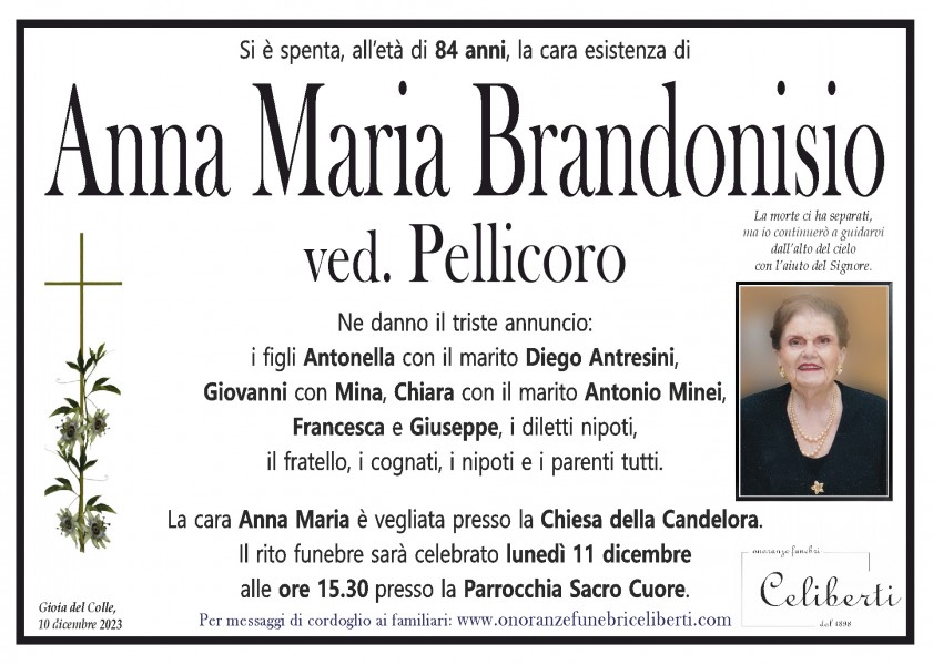 Anna Maria Brandonisio