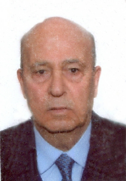 Leonardo Circolone
