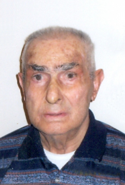 Domenico Gridi