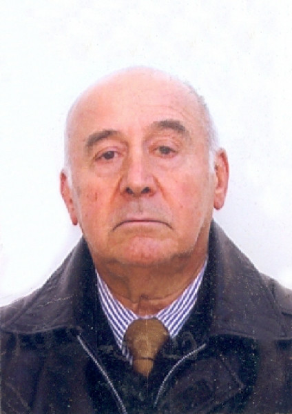 Elio Luigi Caforio