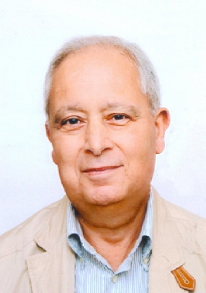 Domenico Mariani