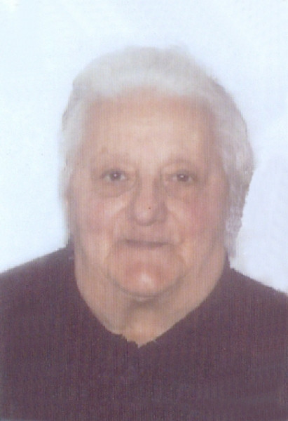 Rosa Francese