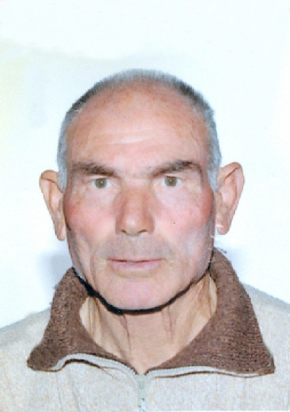 Donato Demonte