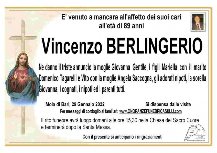 Vincenzo Berlingerio