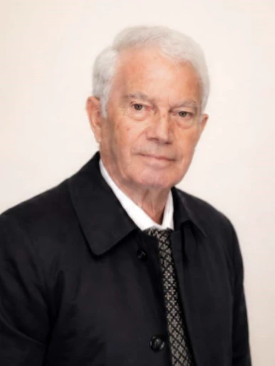 Domenico Simone