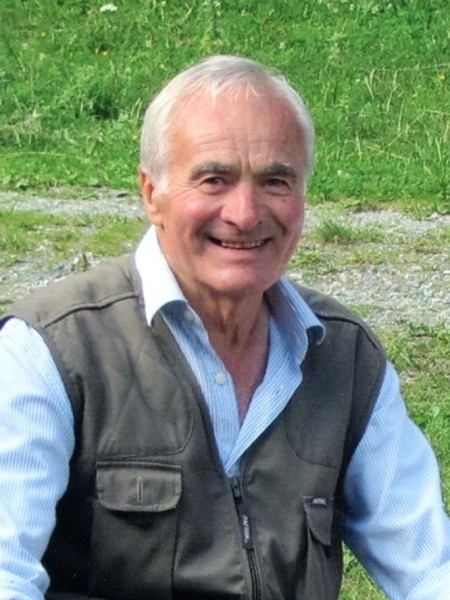 Giuseppe Troni (pino)