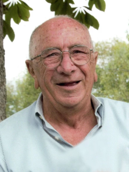 Luigi Struzzi