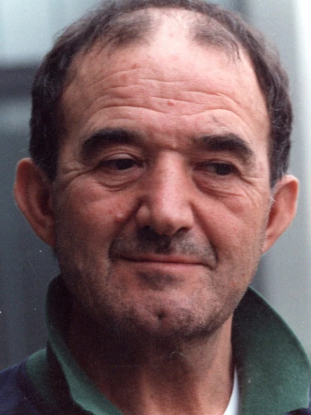 Domenico Piroli