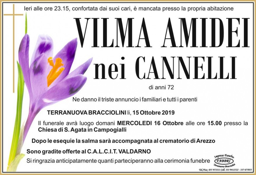 Vilma Amidei