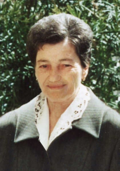 Elena  Attollino