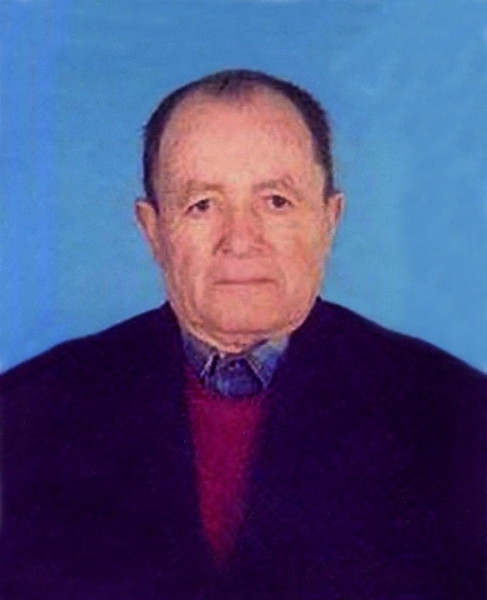 Domenico Vittori