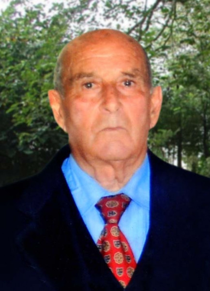 Domenico Pignotti