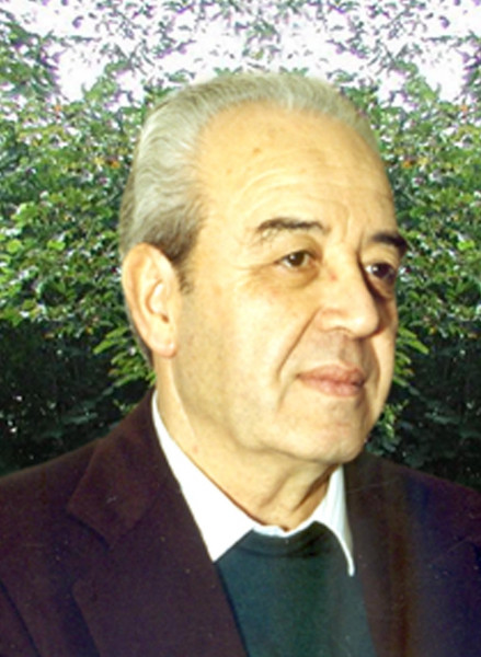 Vinicio Vallorani