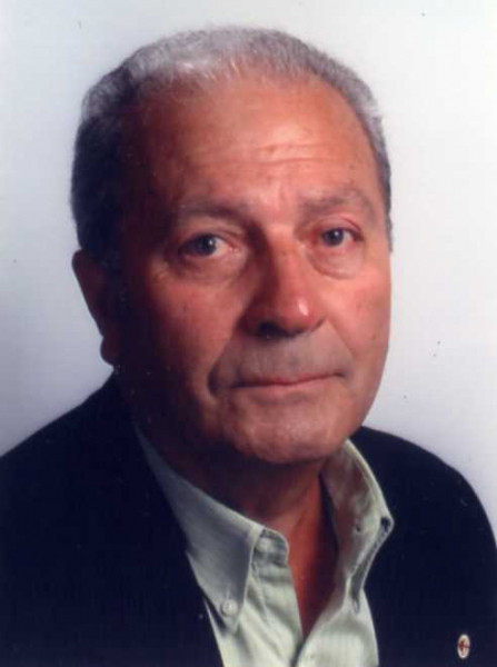 Domenico Andreani