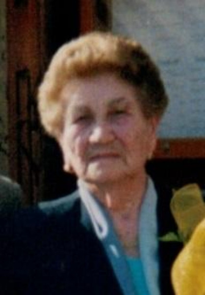 Rosa Vicenzino