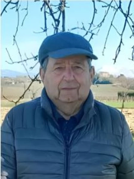 Luigi Bolzicco